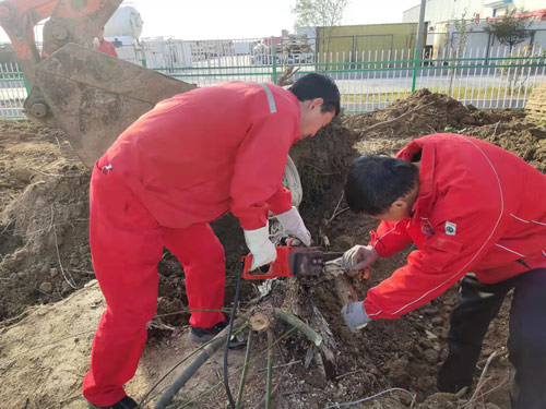 为建设美丽同邦 绿化幸福家园