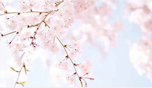 柔肩担重任 巾帼绽芳华