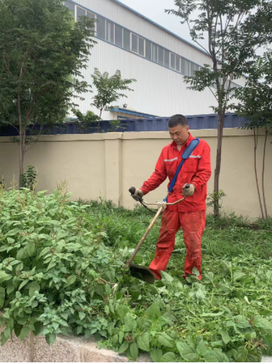 公司机关人开展义务劳动美化厂区环境