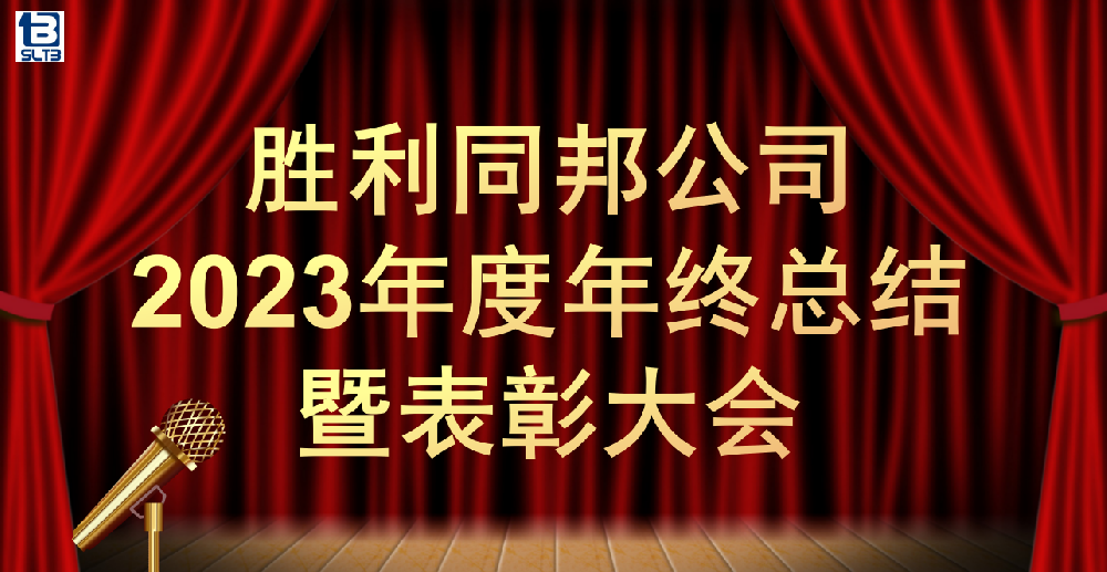 实干担当促发展 砥砺奋进谱新篇