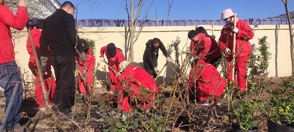 美化同邦│“植”此青绿 一路生花