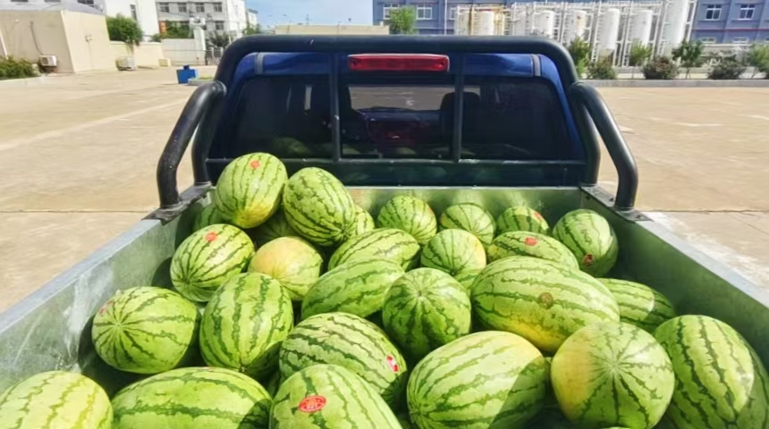 夏送清凉，胜利同邦心系职工——公司领导深入一线慰问，点滴关怀浸润心田