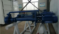 一颗求知的心  绽放青春风采